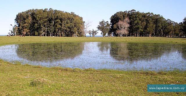 Campo-Playa